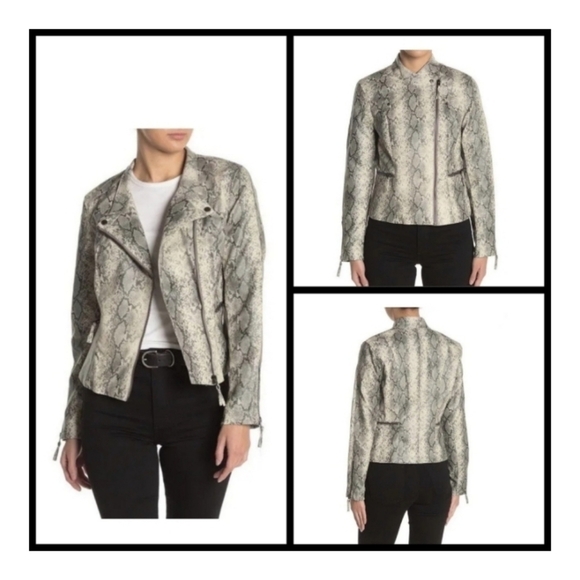 BLANK NYC Faux Leather Snakeskin Print Moto Jacket Full Zip Gray Size M - Picture 1 of 12